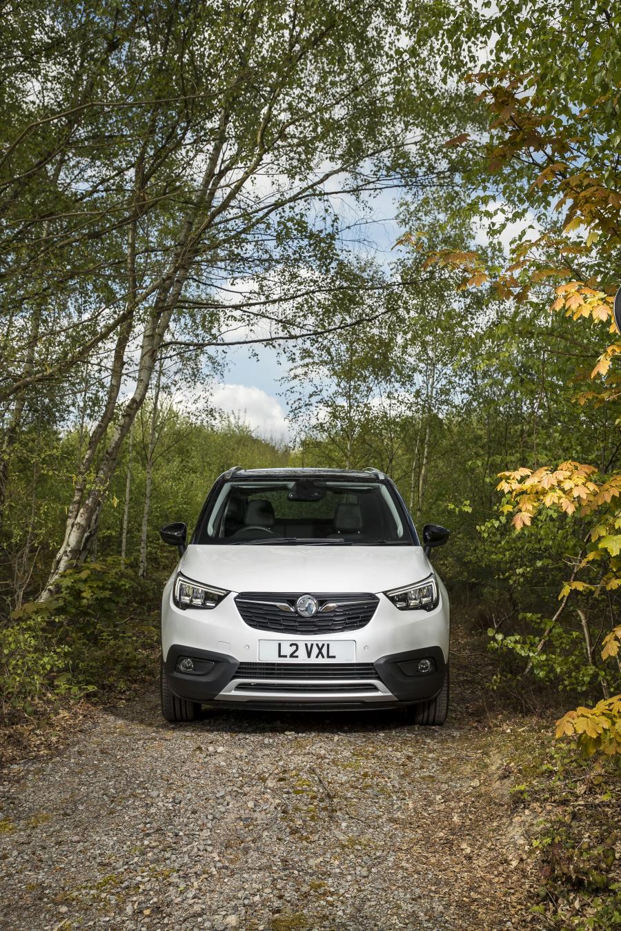  Vauxhall Crossland X Turbo 2017 года  (фото 26 из 30)